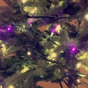 Meet your Posher, Joshua